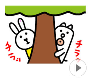 動物,犬,猫,しつけ,飼い方,育て方,病気,健康