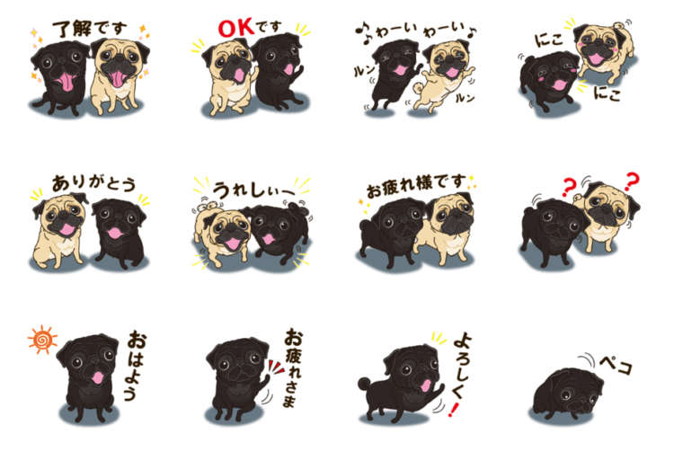 動物,犬,猫,しつけ,飼い方,育て方,病気,健康