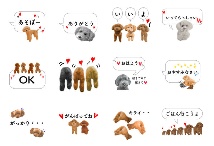 動物,犬,猫,しつけ,飼い方,育て方,病気,健康