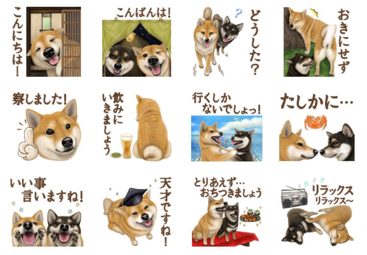 動物,犬,猫,しつけ,飼い方,育て方,病気,健康