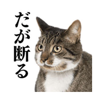 動物,犬,猫,しつけ,飼い方,育て方,病気,健康