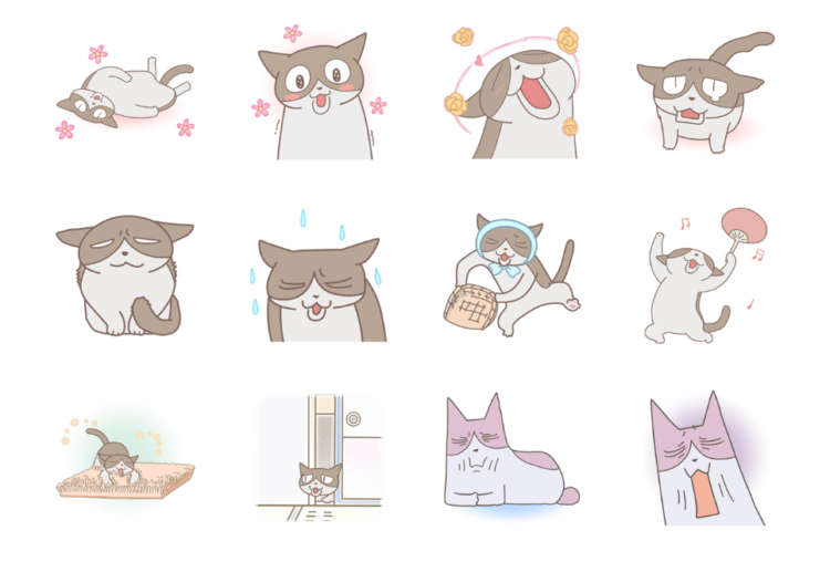 動物,犬,猫,しつけ,飼い方,育て方,病気,健康
