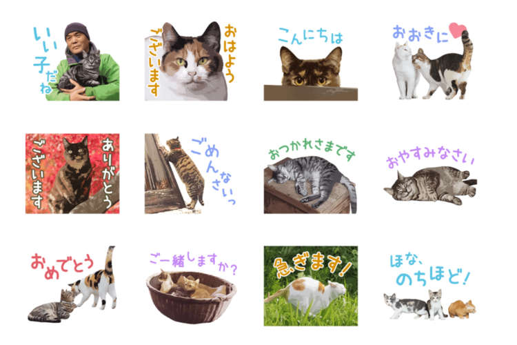 動物,犬,猫,しつけ,飼い方,育て方,病気,健康