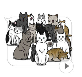 動物,犬,猫,しつけ,飼い方,育て方,病気,健康