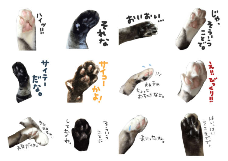 動物,犬,猫,しつけ,飼い方,育て方,病気,健康