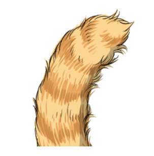 動物,犬,猫,しつけ,飼い方,育て方,病気,健康