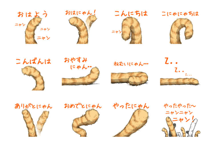 動物,犬,猫,しつけ,飼い方,育て方,病気,健康