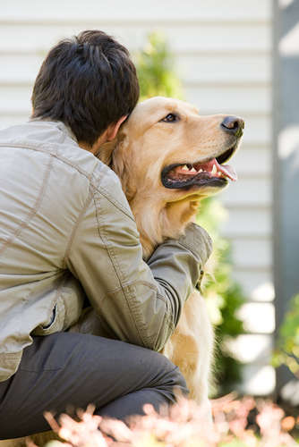 動物,犬,猫,しつけ,飼い方,育て方,病気,健康