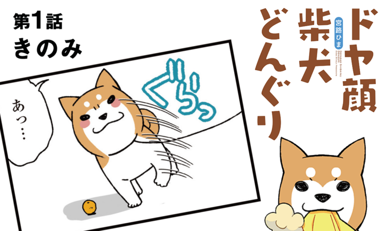 第1話:きのみ
