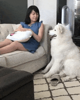 動物,犬,猫,しつけ,飼い方,育て方,病気,健康