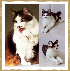 動物,犬,猫,しつけ,飼い方,育て方,病気,健康