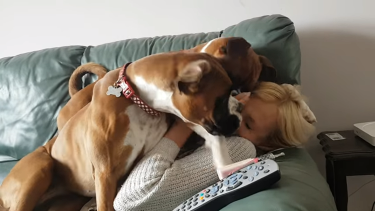 動物,犬,猫,しつけ,飼い方,育て方,病気,健康