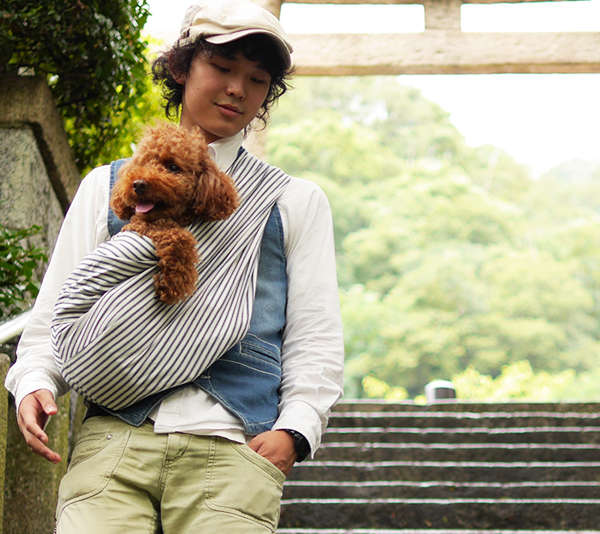 動物,犬,猫,しつけ,飼い方,育て方,病気,健康