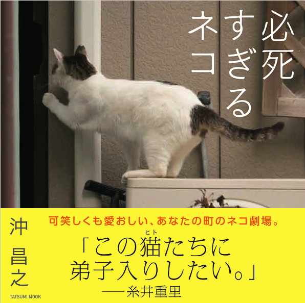 動物,犬,猫,しつけ,飼い方,育て方,病気,健康