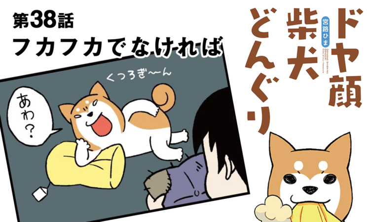 第38話:フカフカでなければ