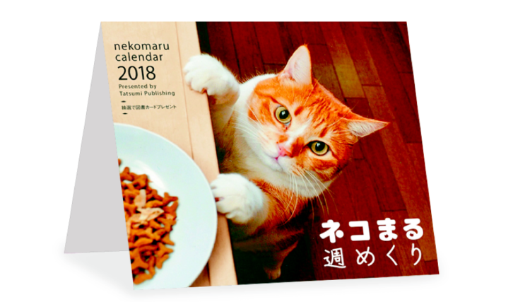 動物,犬,猫,しつけ,飼い方,育て方,病気,健康