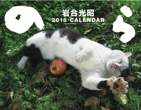 動物,犬,猫,しつけ,飼い方,育て方,病気,健康