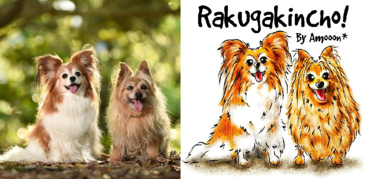動物,犬,猫,しつけ,飼い方,育て方,病気,健康