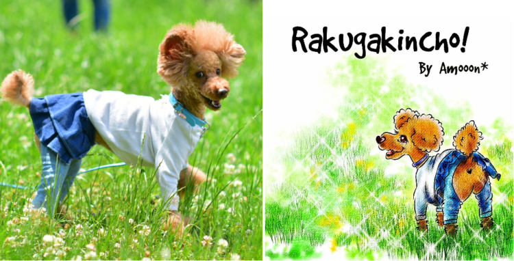 動物,犬,猫,しつけ,飼い方,育て方,病気,健康