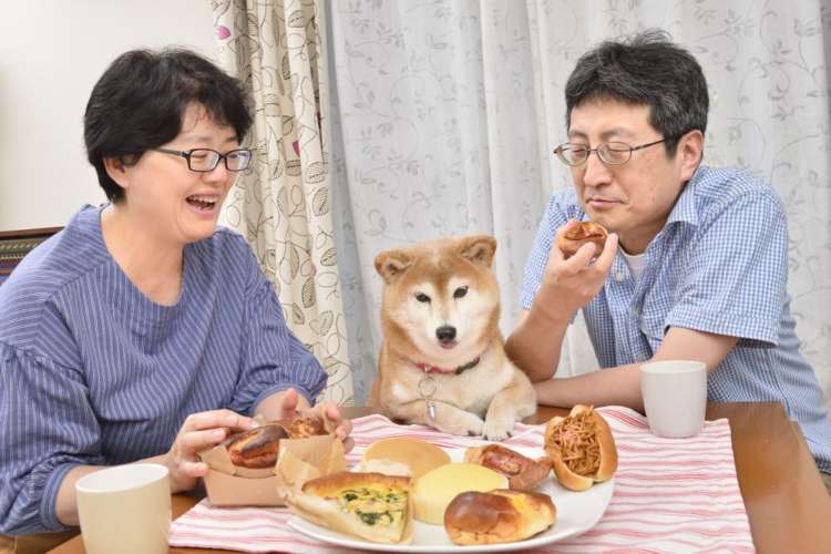 日本犬アーカイブ 犬にかける時間や手間編