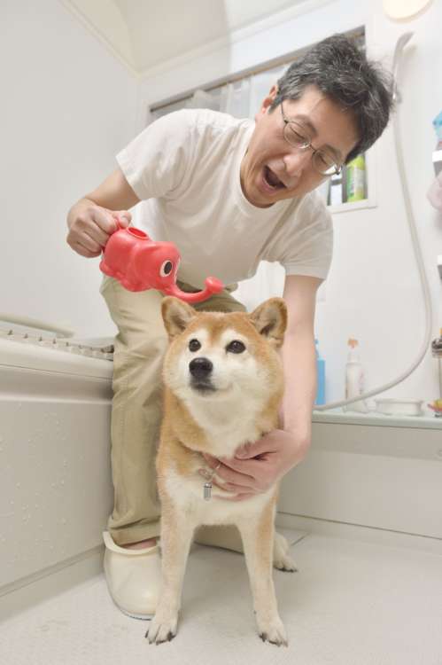 耳に水入れるんじゃないよ