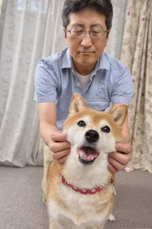 奥さん、これシワ取りにいいわよ(ウソ)