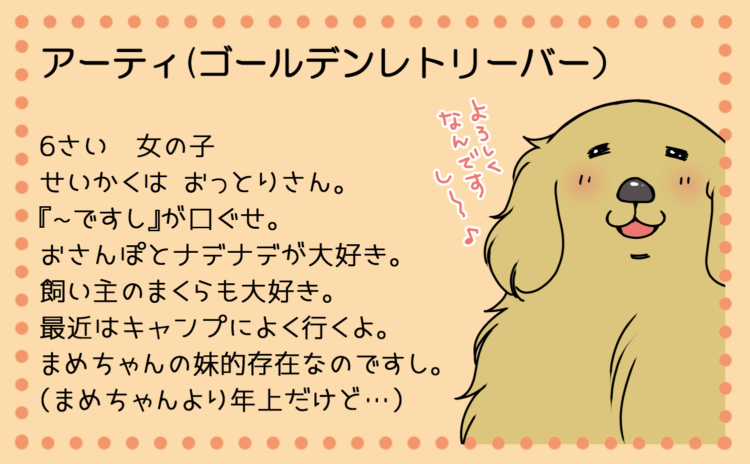 動物,犬,猫,しつけ,飼い方,育て方,病気,健康