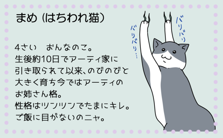 動物,犬,猫,しつけ,飼い方,育て方,病気,健康