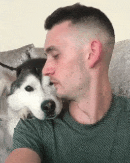 動物,犬,猫,しつけ,飼い方,育て方,病気,健康