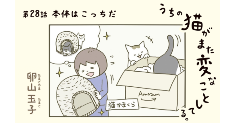第28話:本体はこっちだ