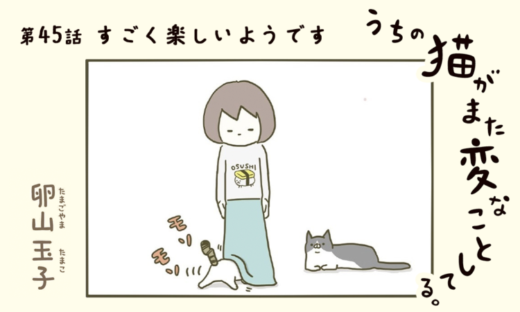 第45話:すごく楽しいようです