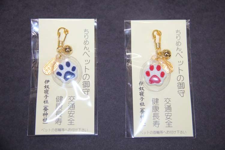動物,犬,猫,しつけ,飼い方,育て方,病気,健康