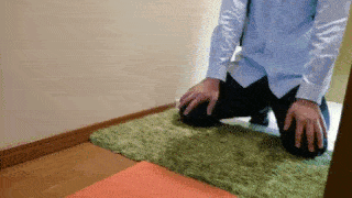 動物,犬,猫,しつけ,飼い方,育て方,病気,健康