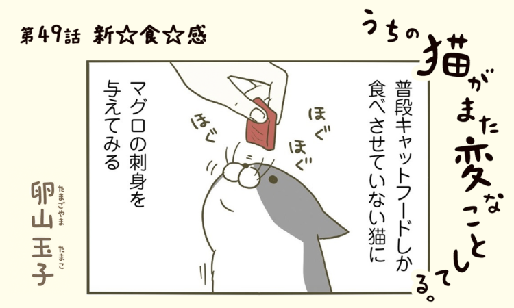 第49話:新☆食☆感