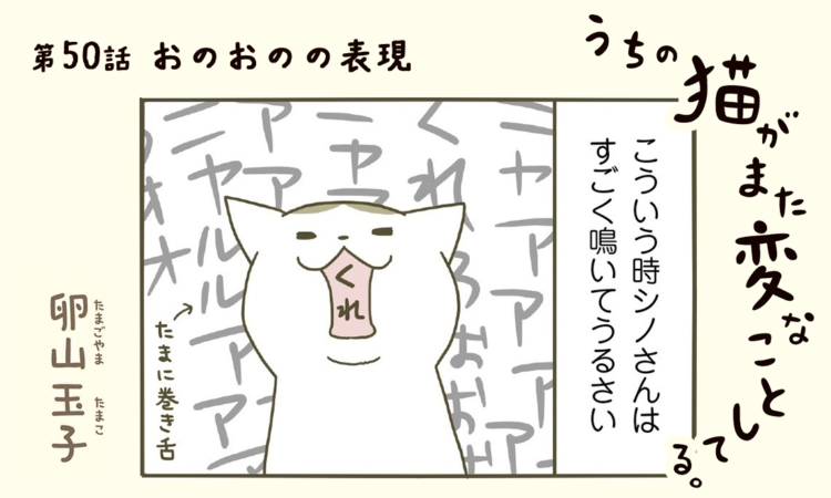 第50話:おのおのの表現