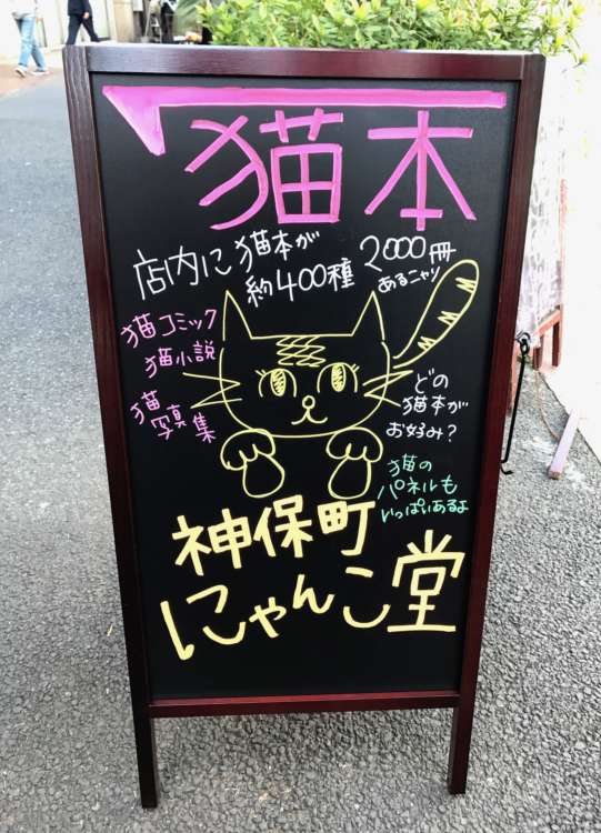 動物,犬,猫,しつけ,飼い方,育て方,病気,健康