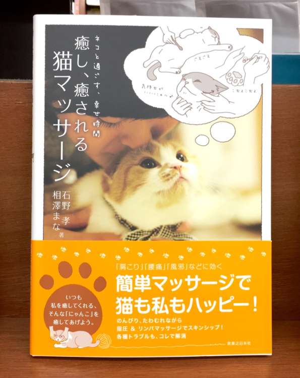 動物,犬,猫,しつけ,飼い方,育て方,病気,健康