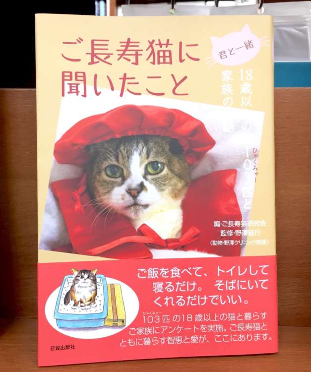 動物,犬,猫,しつけ,飼い方,育て方,病気,健康