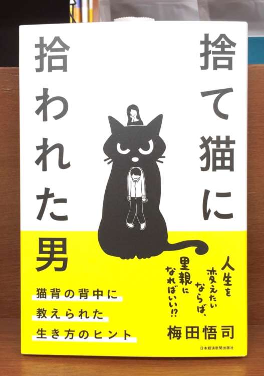 動物,犬,猫,しつけ,飼い方,育て方,病気,健康