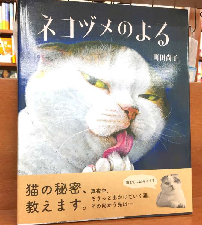 動物,犬,猫,しつけ,飼い方,育て方,病気,健康