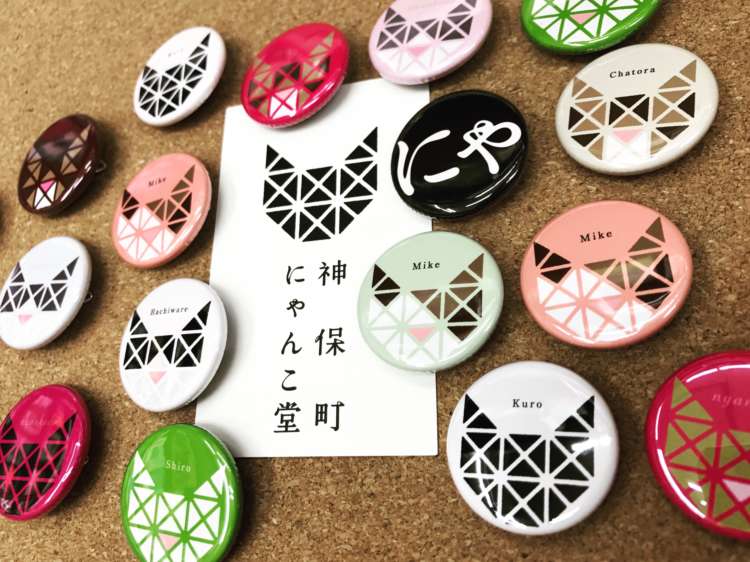 動物,犬,猫,しつけ,飼い方,育て方,病気,健康