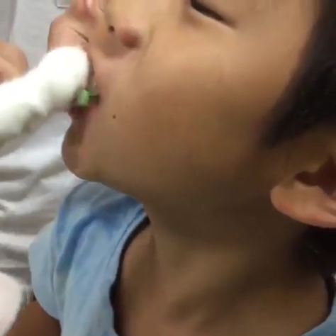 動物,犬,猫,しつけ,飼い方,育て方,病気,健康