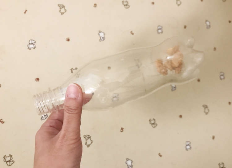動物,犬,猫,しつけ,飼い方,育て方,病気,健康
