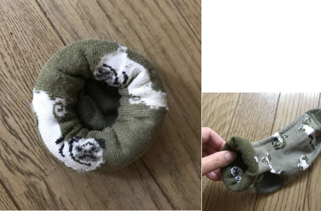 動物,犬,猫,しつけ,飼い方,育て方,病気,健康