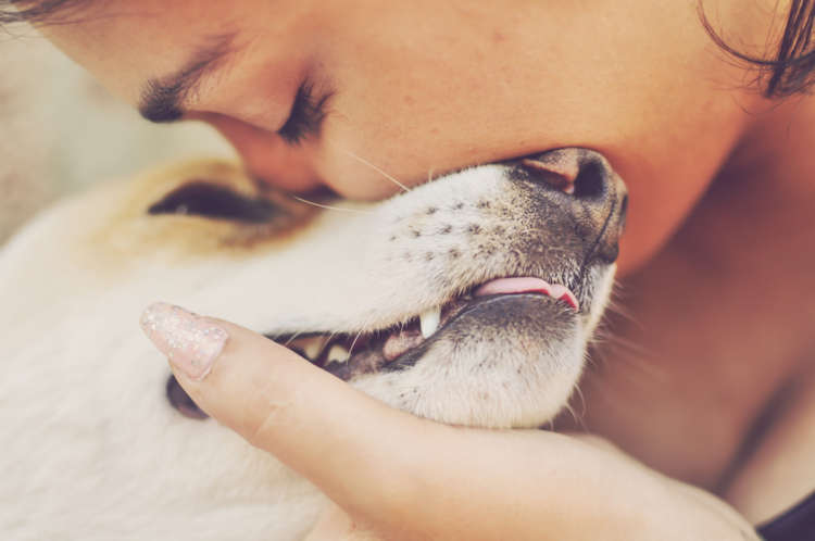 犬の殺処分の現状と、殺処分を減らすために私たちができること
