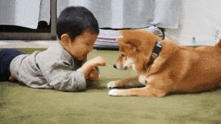 動物,犬,猫,しつけ,飼い方,育て方,病気,健康