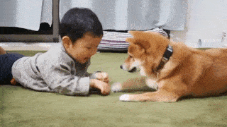 動物,犬,猫,しつけ,飼い方,育て方,病気,健康