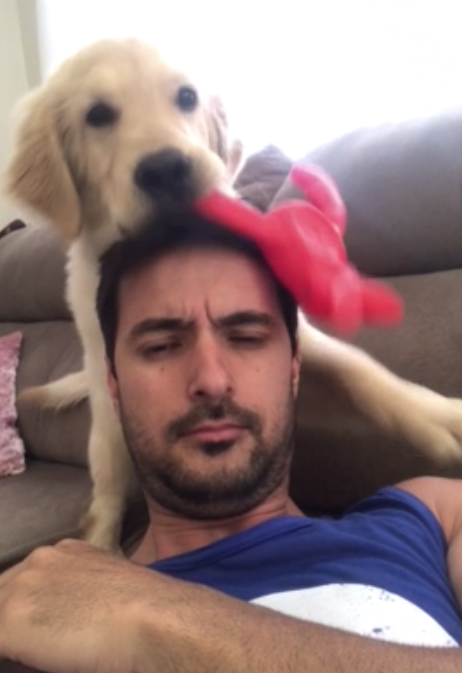 動物,犬,猫,しつけ,飼い方,育て方,病気,健康