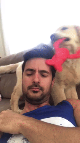 動物,犬,猫,しつけ,飼い方,育て方,病気,健康