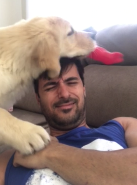 動物,犬,猫,しつけ,飼い方,育て方,病気,健康
